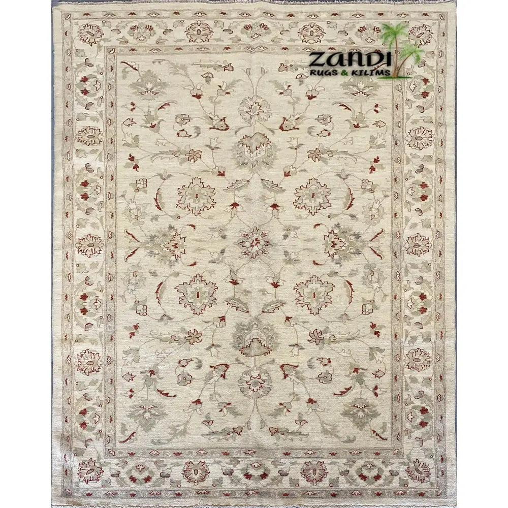 One Of The Kind Afghani Khotan Rug 6'0" x 6'8" zandirugs